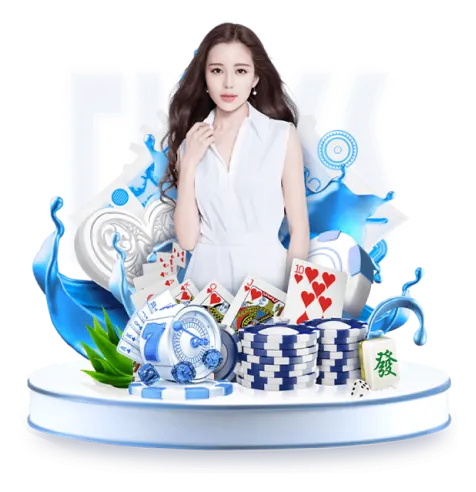 Gà Chọi Đang Thi Đấu